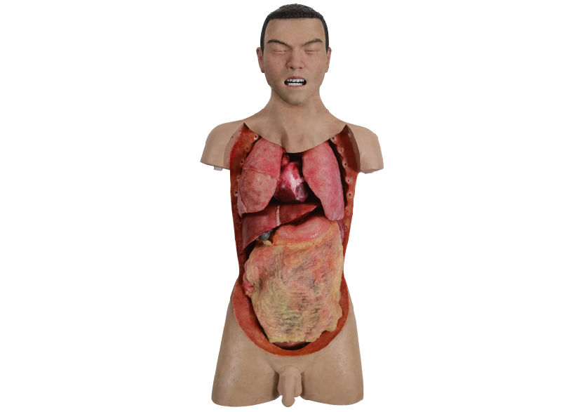 胸腹部损伤控制手术模拟人系统3.0